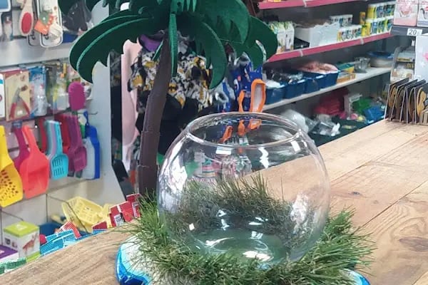 Alfa Pet Shop - Resim 14