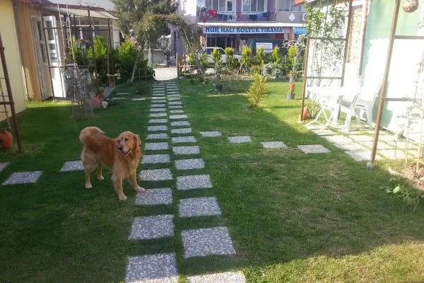 Sakran Pansiyon - Resim 4