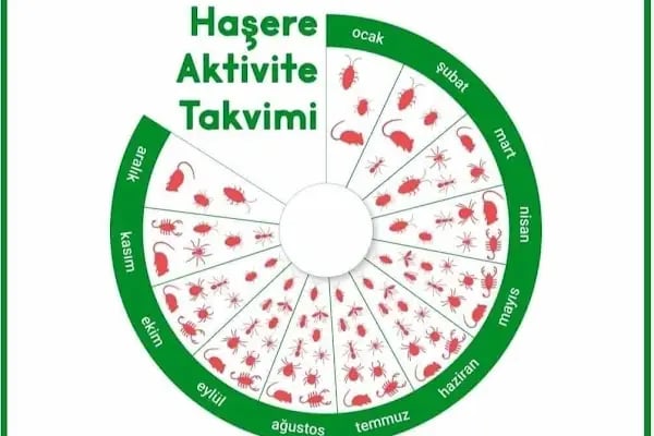 MÜHENDİSLER İLAÇLAMA - Resim 13