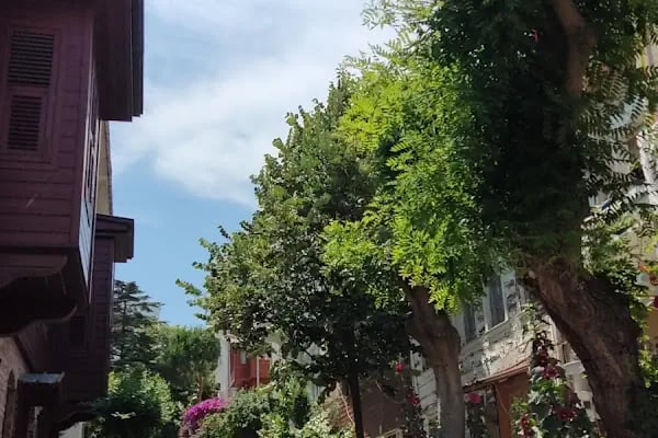 İBB İnönü Parkı - Resim 2