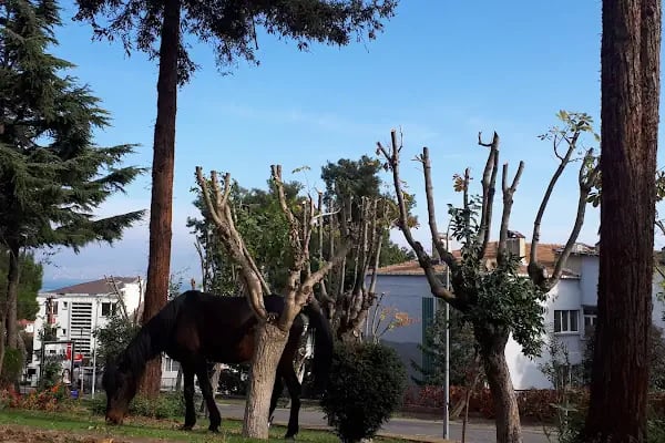 İBB İnönü Parkı - Resim 16