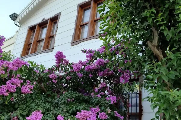 İBB İnönü Parkı - Resim 15