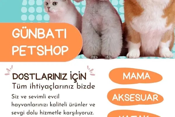 GÜNBATI PETSHOP - Resim 19