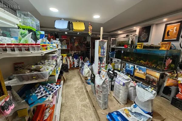 GÜNBATI PETSHOP - Resim 8