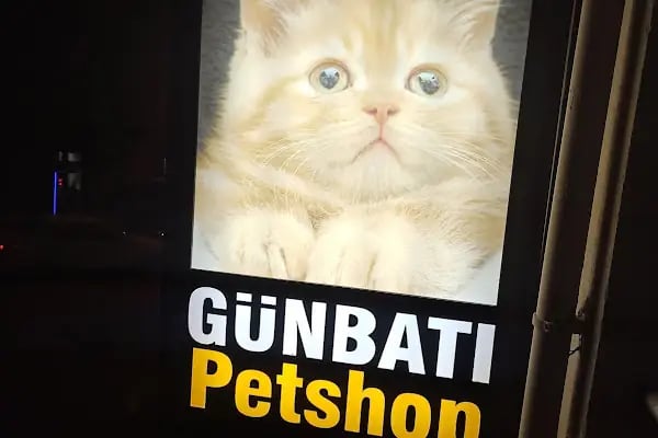 GÜNBATI PETSHOP - Resim 5