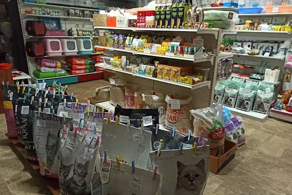 GÜNBATI PETSHOP - Resim 2