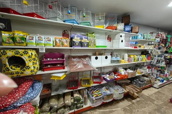GÜNBATI PETSHOP - Resim 6