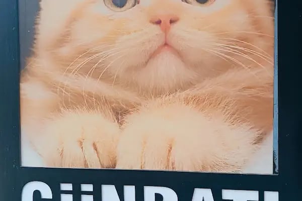 GÜNBATI PETSHOP - Resim 3