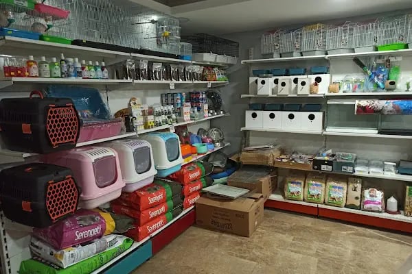 GÜNBATI PETSHOP - Resim 12