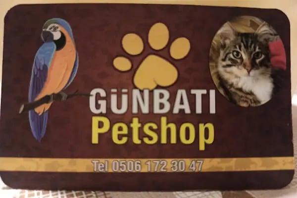 GÜNBATI PETSHOP - Resim 16