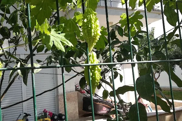 Örenkent Sitesi - Resim 19