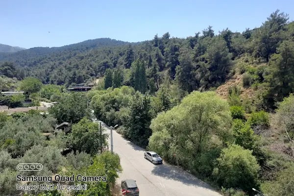 Mesir Tabiat Parkı - Resim 11