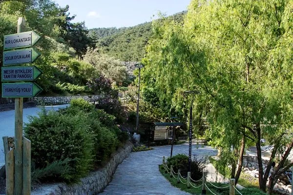 Mesir Tabiat Parkı - Resim 3