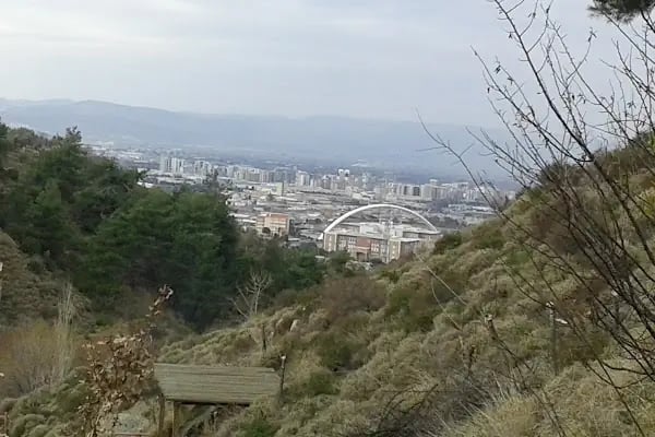 Mesir Tabiat Parkı - Resim 19