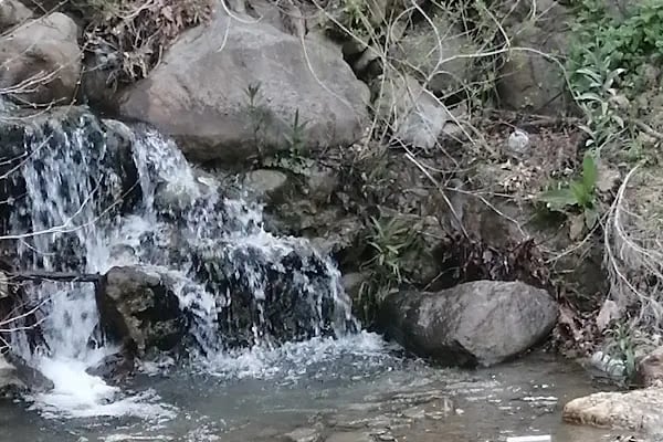 Mesir Tabiat Parkı - Resim 14