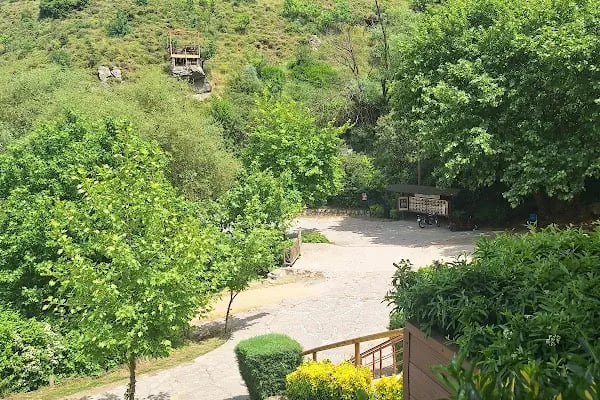Mesir Tabiat Parkı - Resim 17