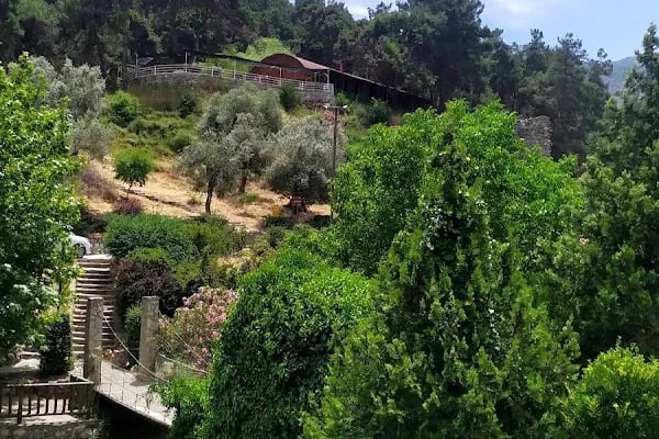 Mesir Tabiat Parkı - Resim 12