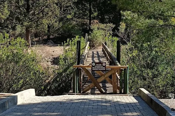 Mesir Tabiat Parkı - Resim 10