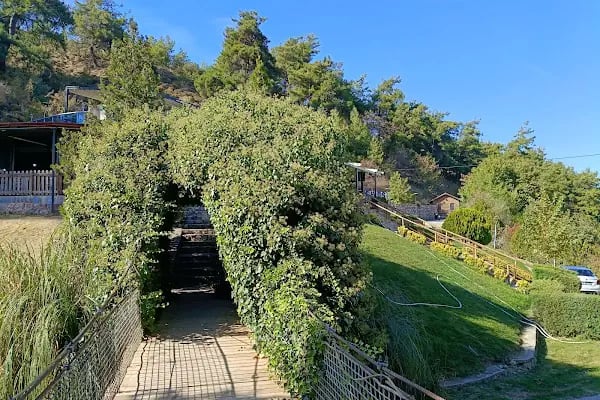Mesir Tabiat Parkı - Resim 15