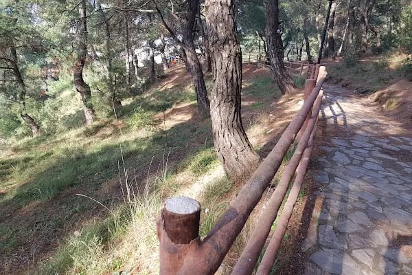 Mesir Tabiat Parkı - Resim 7
