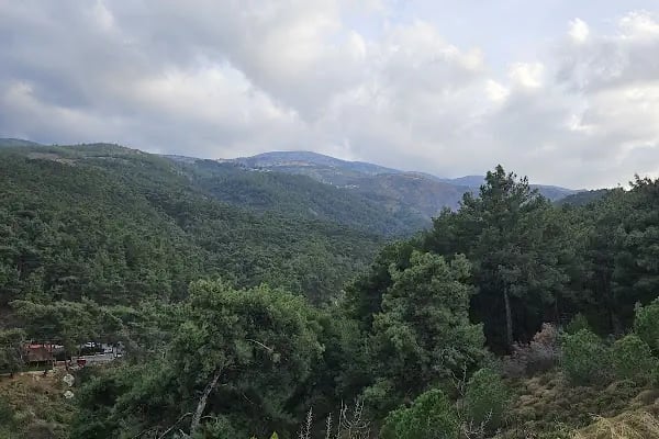 Mesir Tabiat Parkı - Resim 13