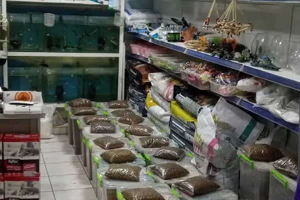 Ege Petshop - Resim 9
