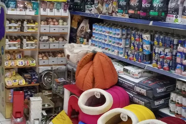 Ege Petshop - Resim 3