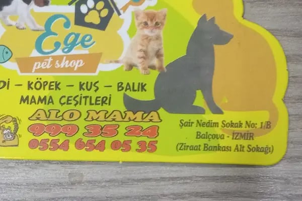 Ege Petshop - Resim 8