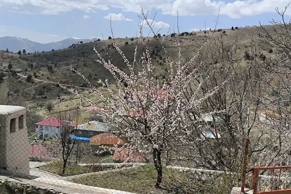 Yurtiçi Kargo Afşin İrtibat - Resim 3