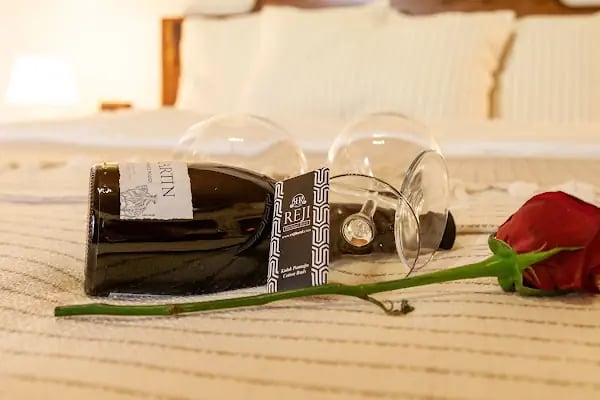 Şanlıurfa Butik Otel Reji Renaissance - Resim 12