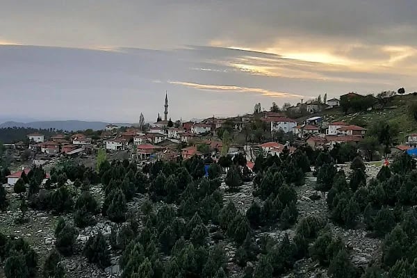 Karaağız - Resim 3