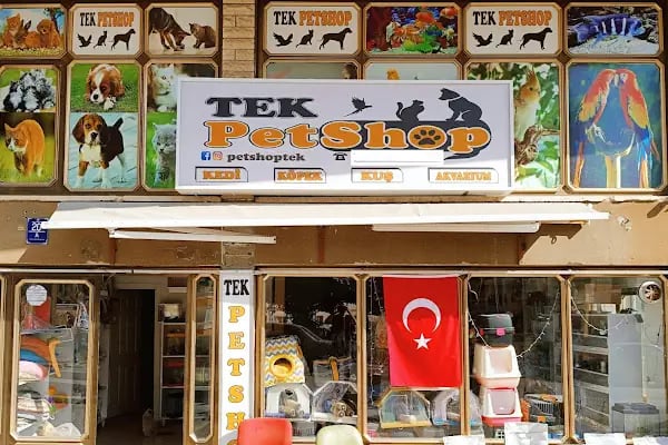 Pursaklar TekPetshop - Resim 11