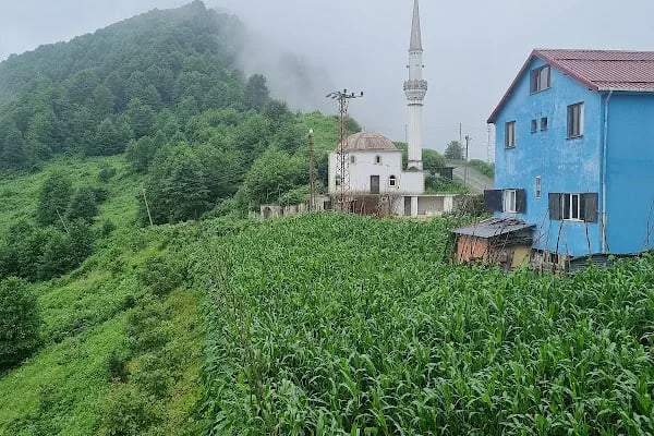 Avulot Hotel - Resim 7