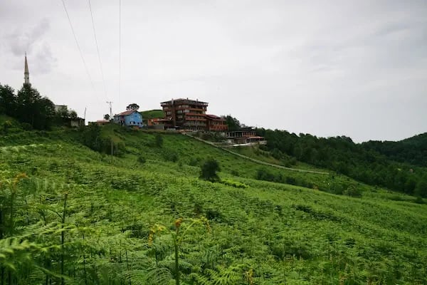 Avulot Hotel - Resim 15