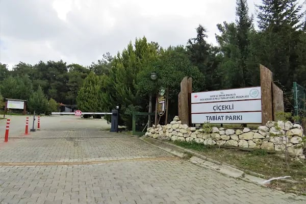 Çiçekli Tabiat Parkı - Resim 2