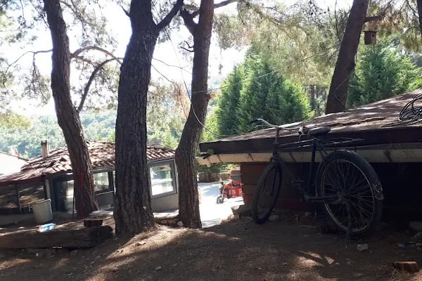 Çiçekli Tabiat Parkı - Resim 18