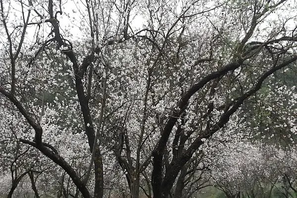 Çiçekli Tabiat Parkı - Resim 9