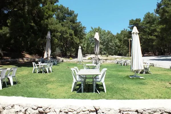 Çiçekli Tabiat Parkı - Resim 14