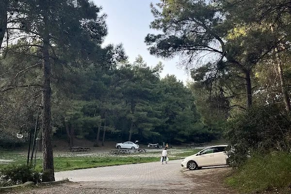 Çiçekli Tabiat Parkı - Resim 16