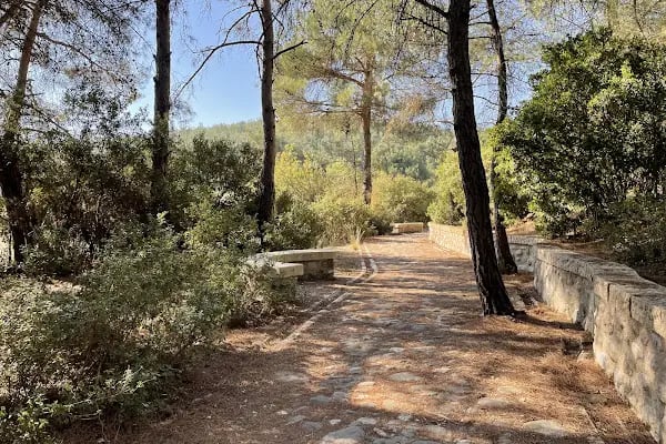 Çiçekli Tabiat Parkı - Resim 3