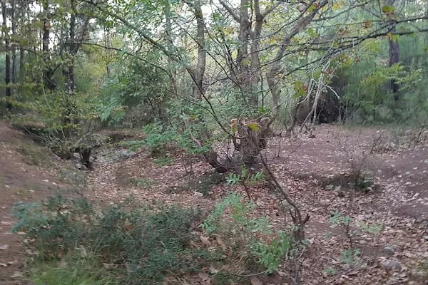 Çiçekli Tabiat Parkı - Resim 12