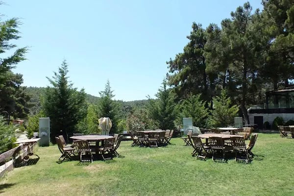 Çiçekli Tabiat Parkı - Resim 13