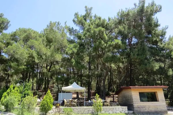 Çiçekli Tabiat Parkı - Resim 19