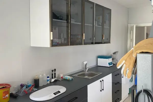 Vetvision Kuş ve Pet Veteriner Kliniği - Resim 2