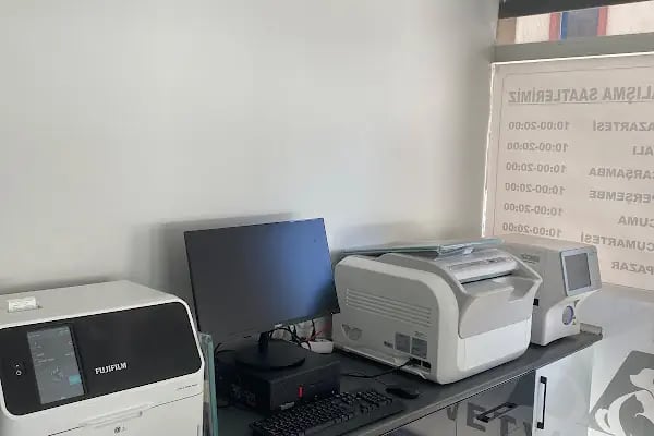 Vetvision Kuş ve Pet Veteriner Kliniği - Resim 5