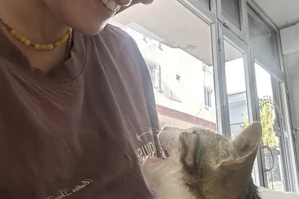 Vetvision Kuş ve Pet Veteriner Kliniği - Resim 11
