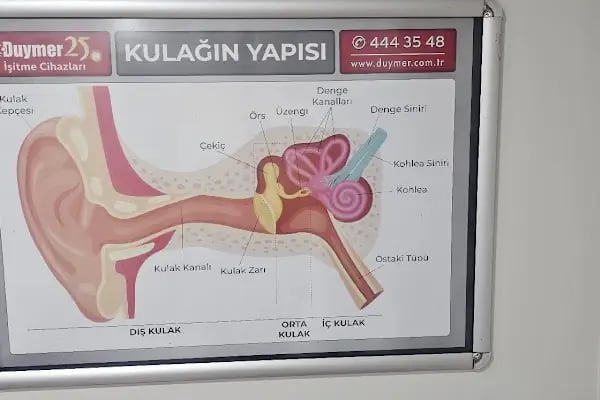 Duymer İşitme Cihazları İzmir Aliağa Şubesi - Resim 17