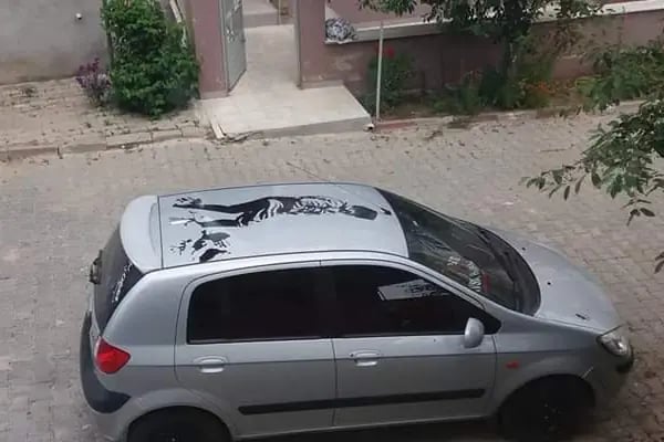 Havsa İlçe Halk Kütüphanesi - Resim 1