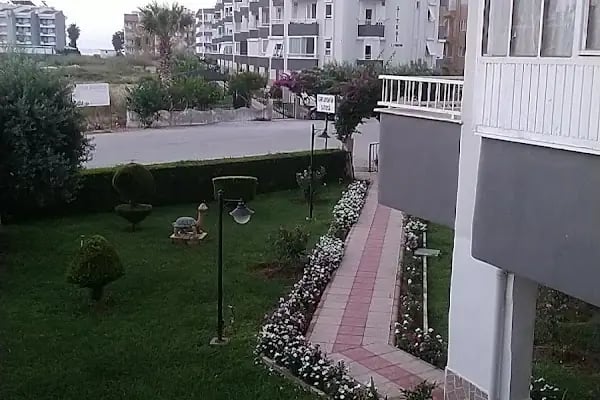 Kaplumbağa sitesi - Resim 7