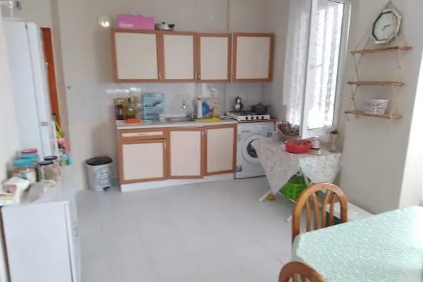 Kaplumbağa sitesi - Resim 6